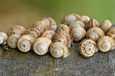 《TYPECAST》Steam页面上线 吸幸类型打字战斗